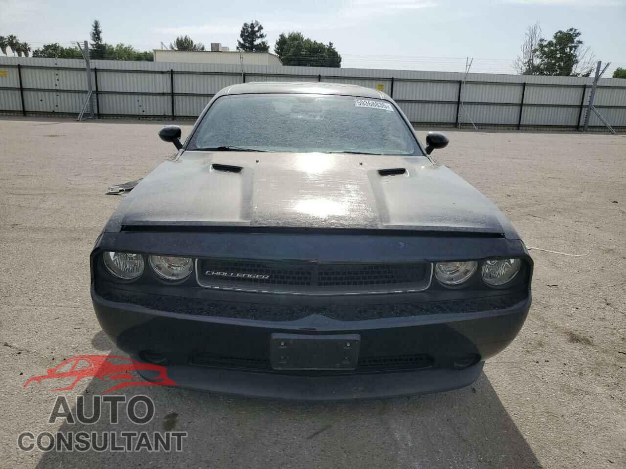 DODGE CHALLENGER 2013 - 2C3CDYAG3DH536233