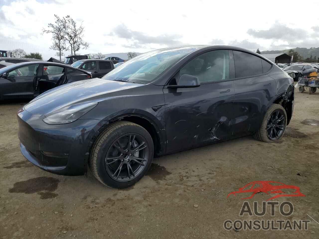 TESLA MODEL Y 2025 - 7SAYGDED8SF279304