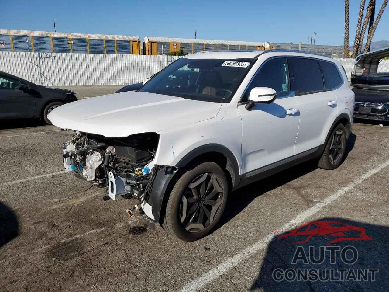 KIA TELLURIDE 2024 - 5XYP34GC3RG445689