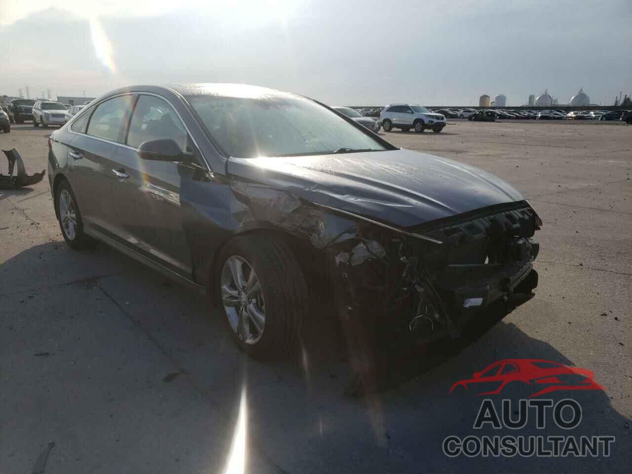 HYUNDAI SONATA 2019 - 5NPE34AF0KH780921