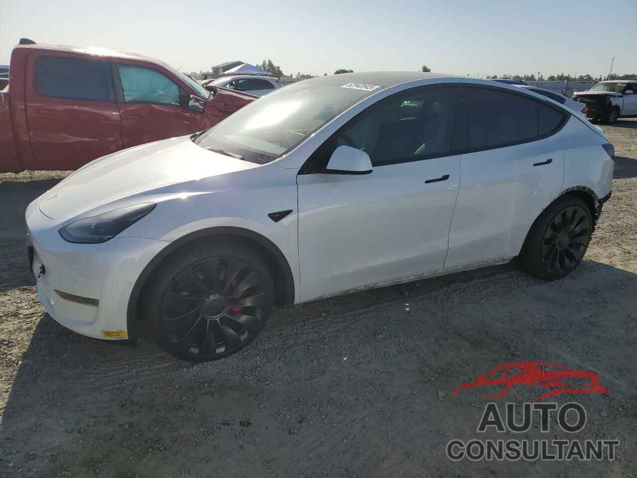 TESLA MODEL Y 2022 - 7SAYGDEF5NF389815
