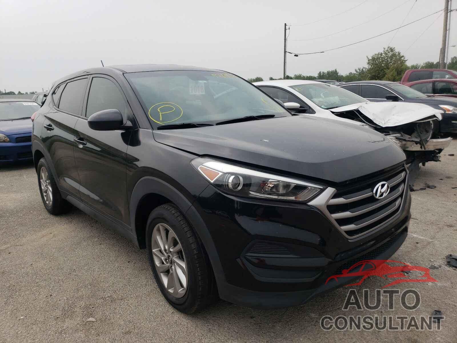 HYUNDAI TUCSON 2017 - KM8J23A49HU303392