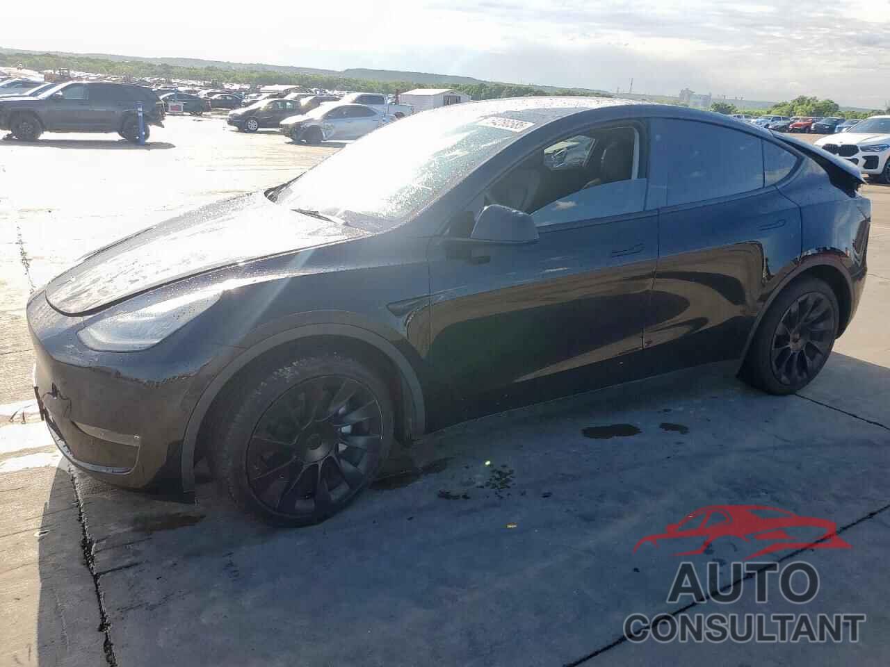 TESLA MODEL Y 2021 - 5YJYGDEE1MF211015