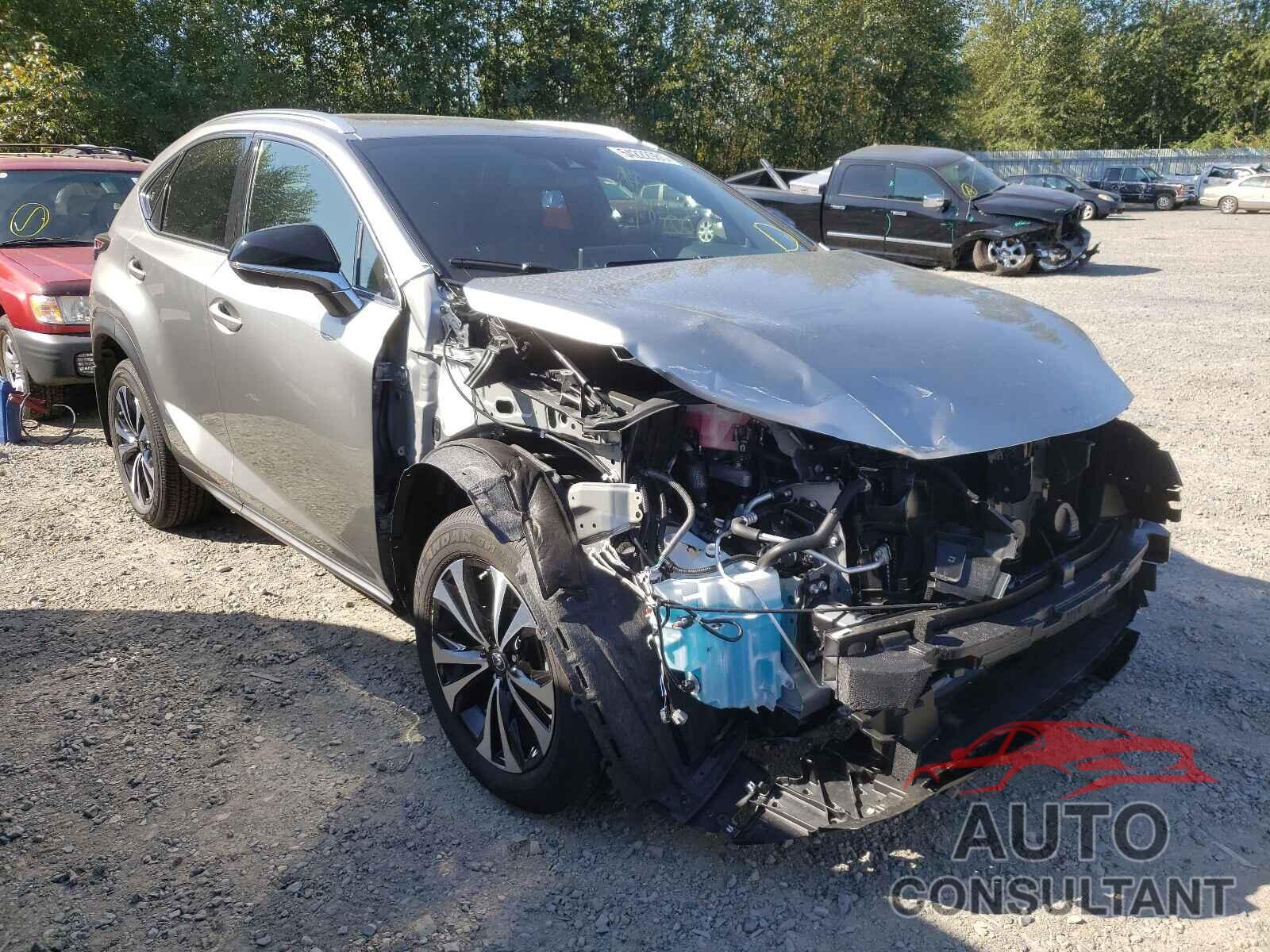 LEXUS NX 2021 - JTJSARDZ0M2253247