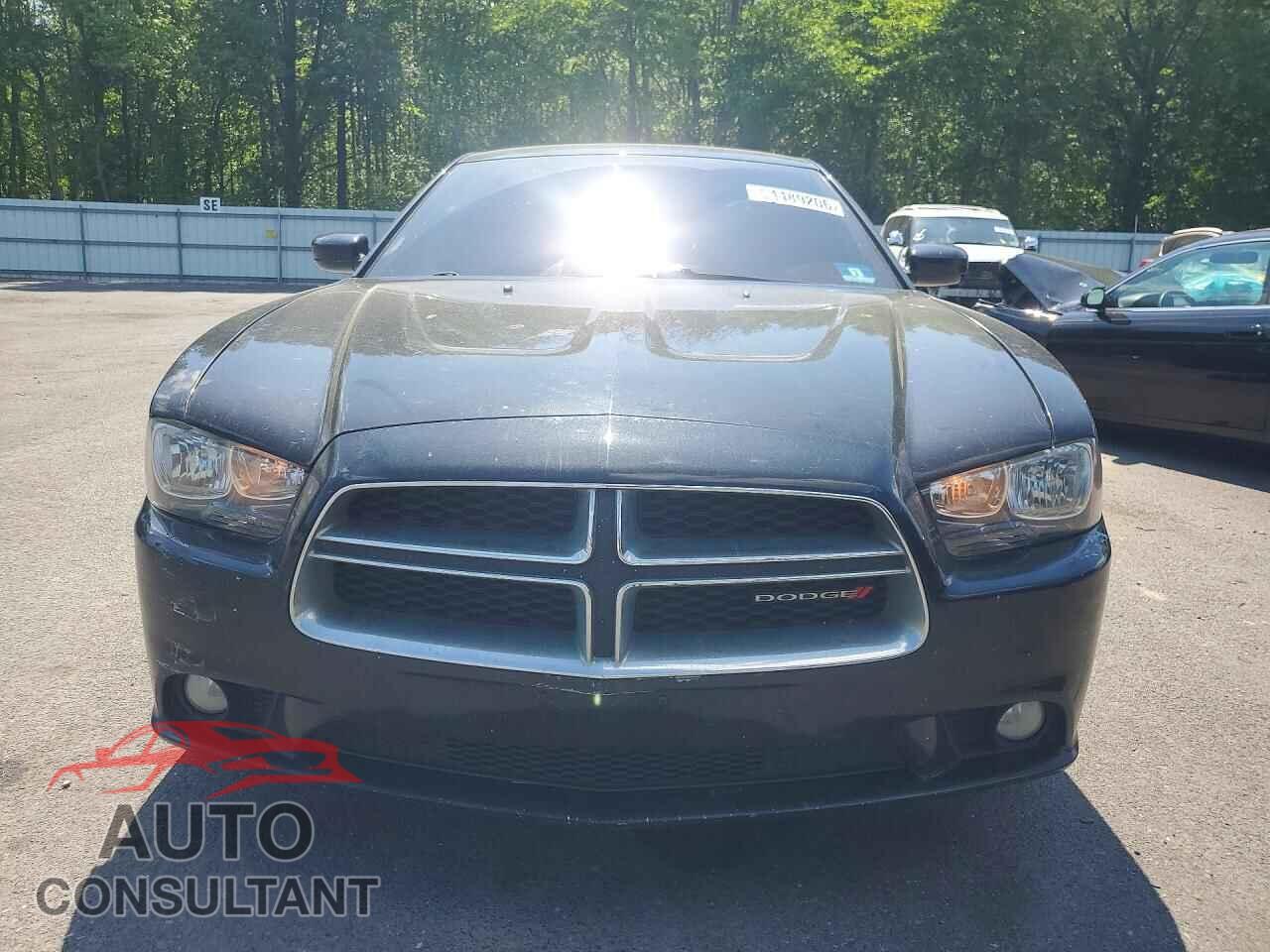 DODGE CHARGER 2014 - 2C3CDXHG0EH344012