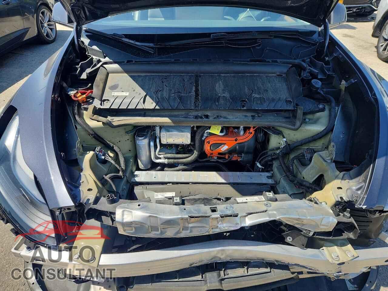 TESLA MODEL Y 2024 - 7SAYGDED3RF082101