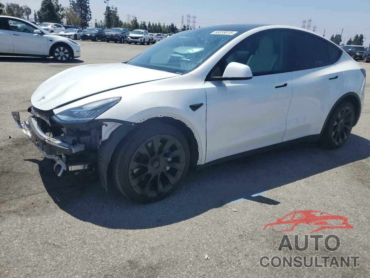 TESLA MODEL Y 2022 - 7SAYGAEEXNF515978
