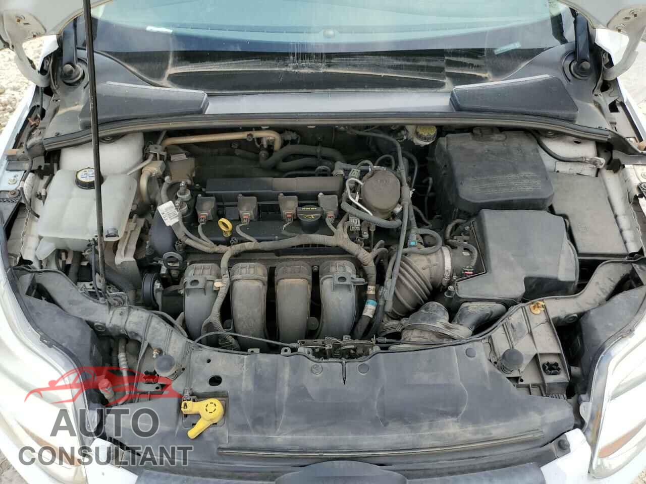 FORD FOCUS 2013 - 1FADP3K26DL149357