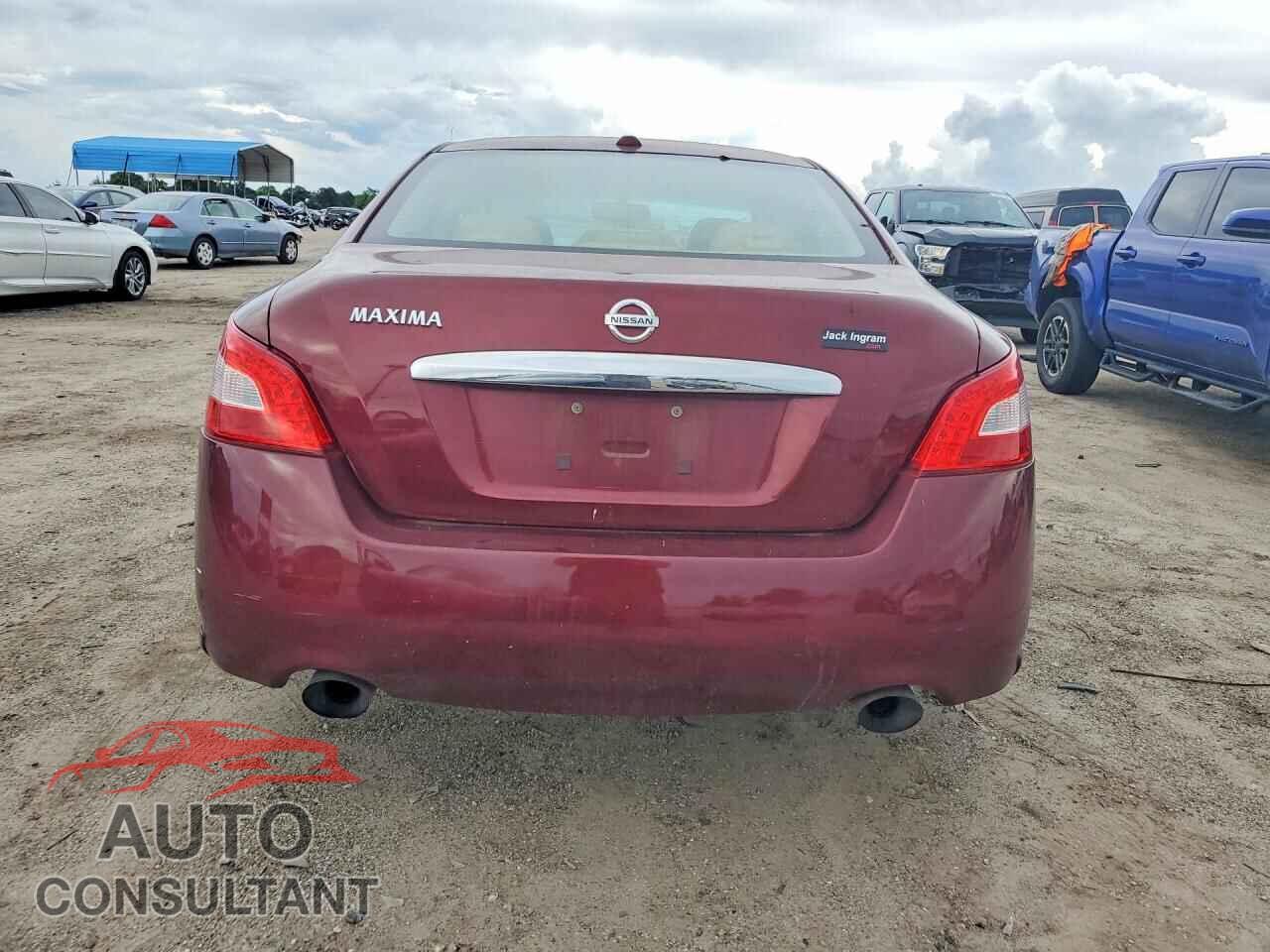 NISSAN MAXIMA 2010 - 1N4AA5AP8AC804546