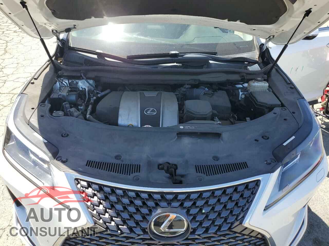 LEXUS RX350 2020 - JTJHZKFA4L2024909