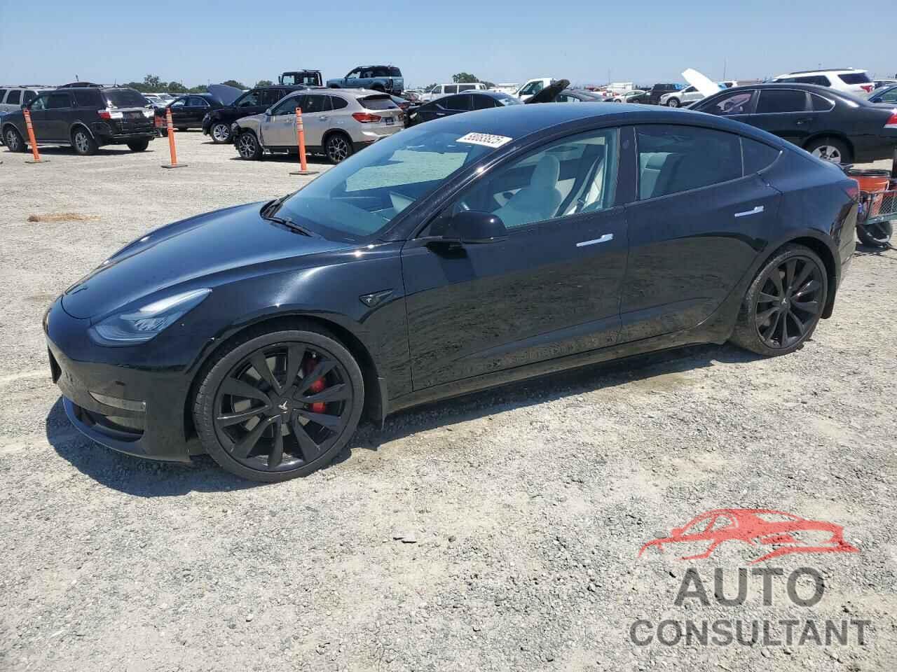TESLA MODEL 3 2019 - 5YJ3E1EB1KF231735