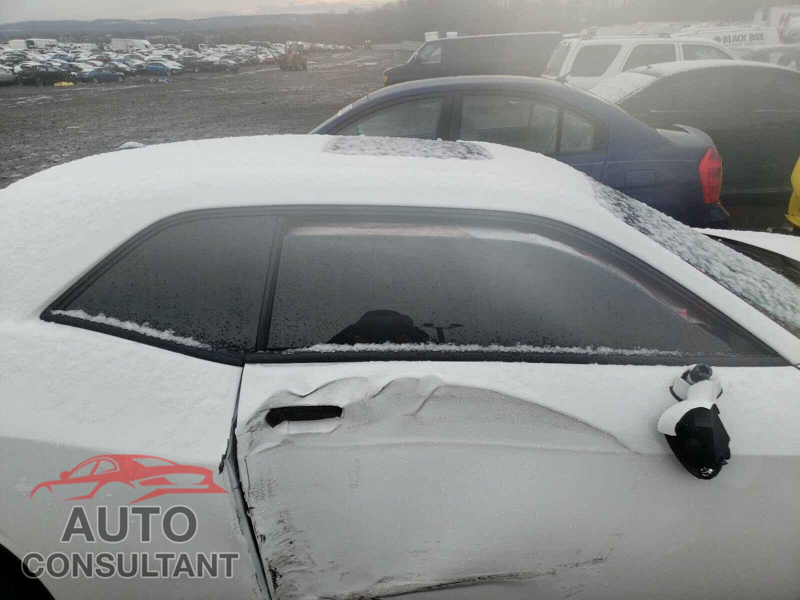 DODGE CHALLENGER 2019 - 2C3CDZBT0KH513457