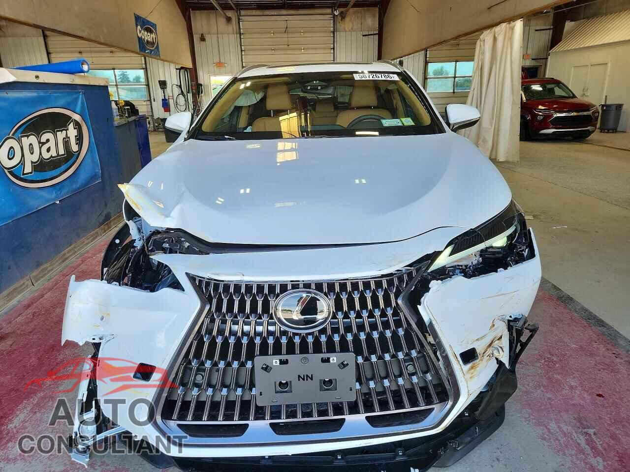 LEXUS NX 2026 - 2T2GGCEZ1TC117899