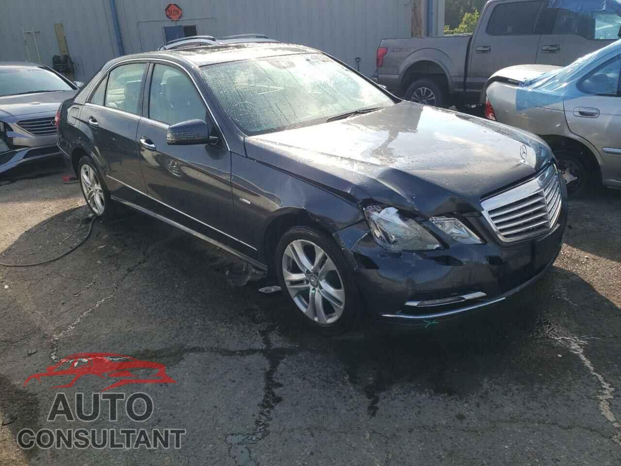 MERCEDES-BENZ E-CLASS 2011 - WDDHF2EB4BA468209