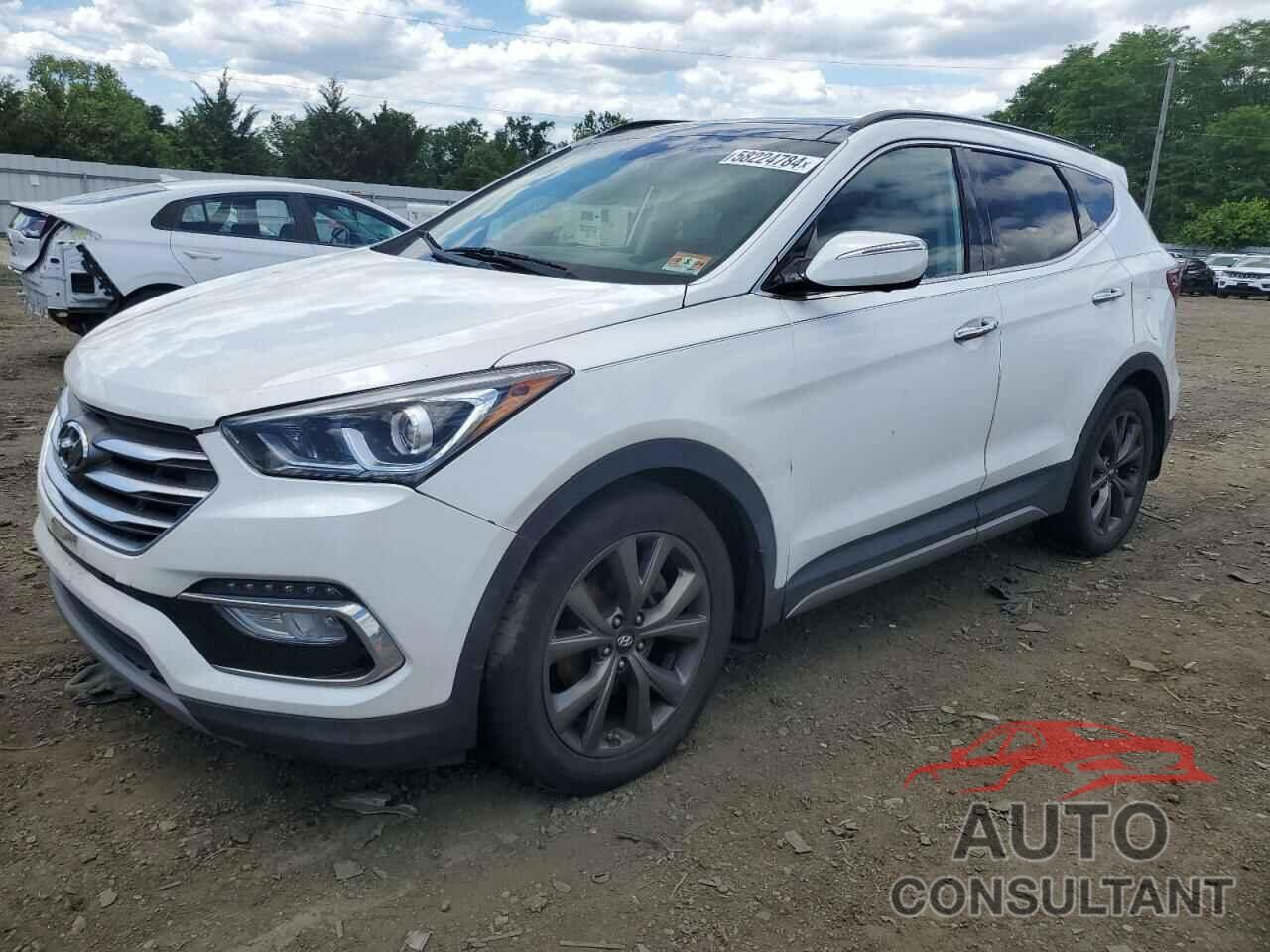 HYUNDAI SANTA FE 2017 - 5NMZWDLA8HH048472