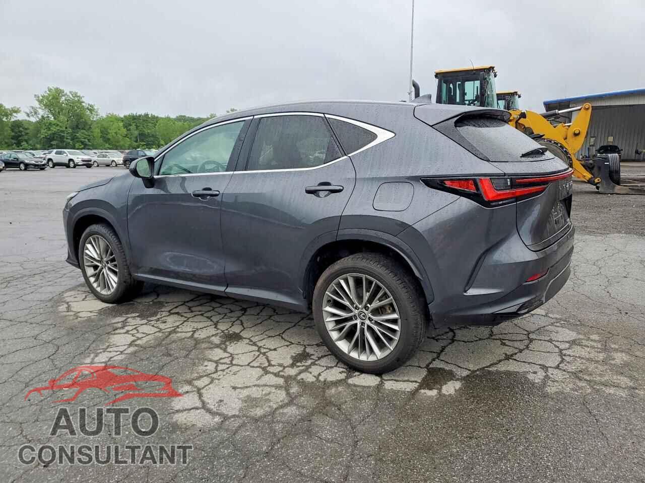 LEXUS NX 2025 - 2T2GKCEZ2SC040182