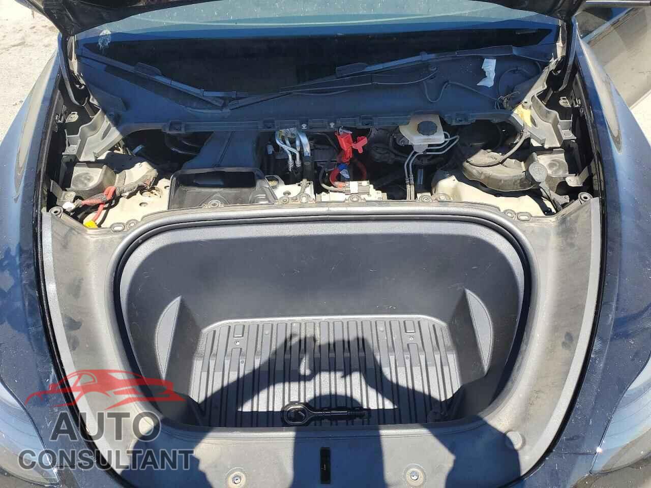 TESLA MODEL Y 2022 - 7SAYGAEE7NF555550