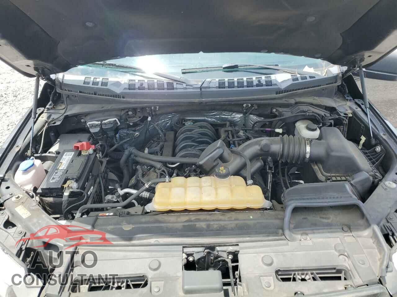 FORD F-150 2017 - 1FTEW1EF1HFC49634