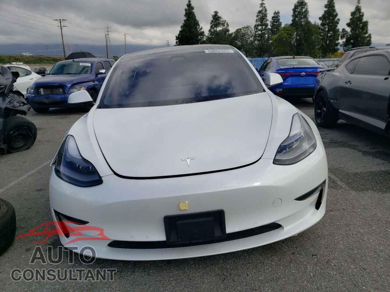 TESLA MODEL 3 2021 - 5YJ3E1EA3MF002726
