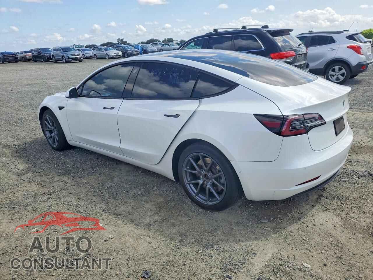 TESLA MODEL 3 2021 - 5YJ3E1EA7MF059236