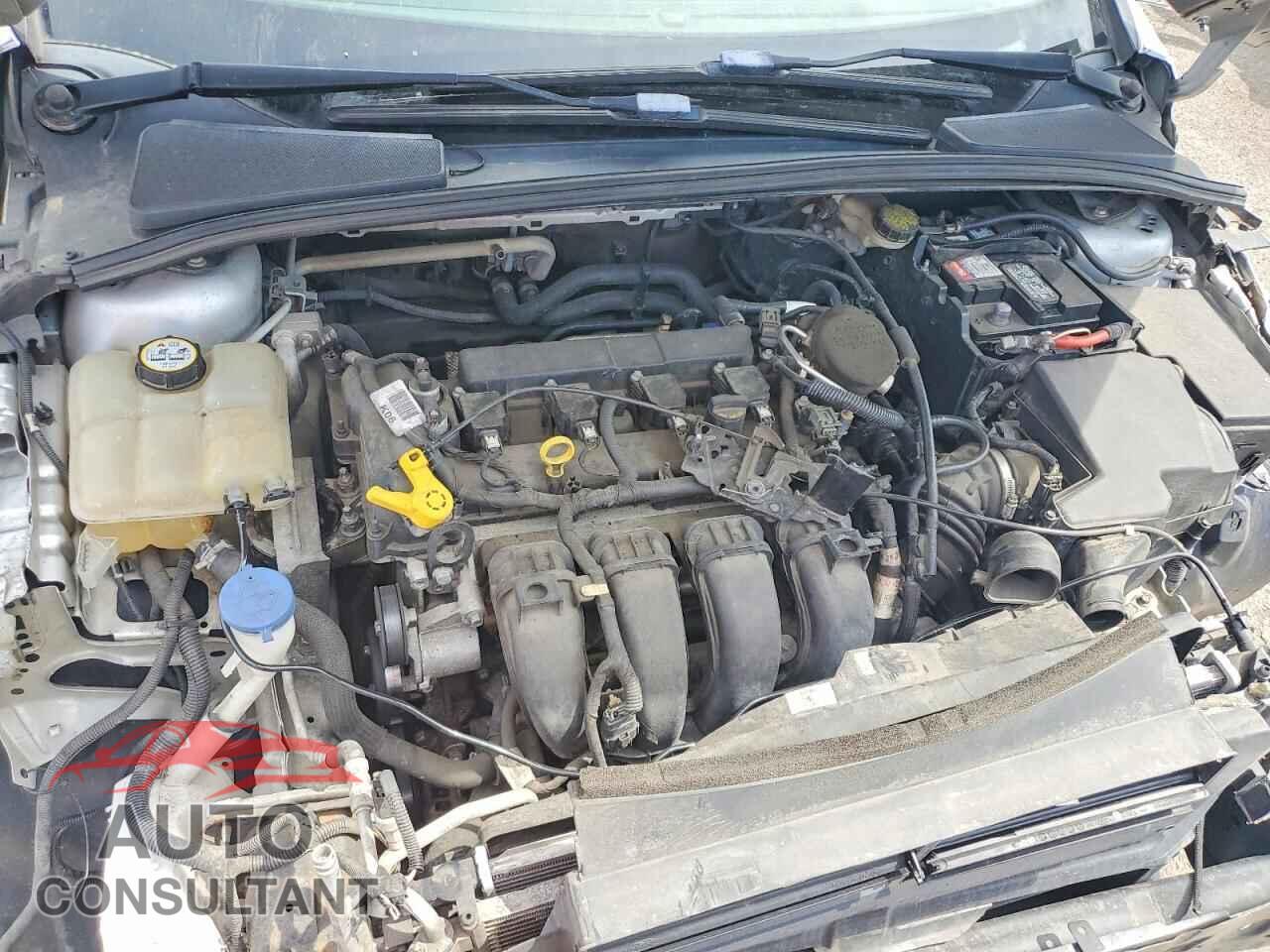 FORD FOCUS 2016 - 1FADP3E20GL302167