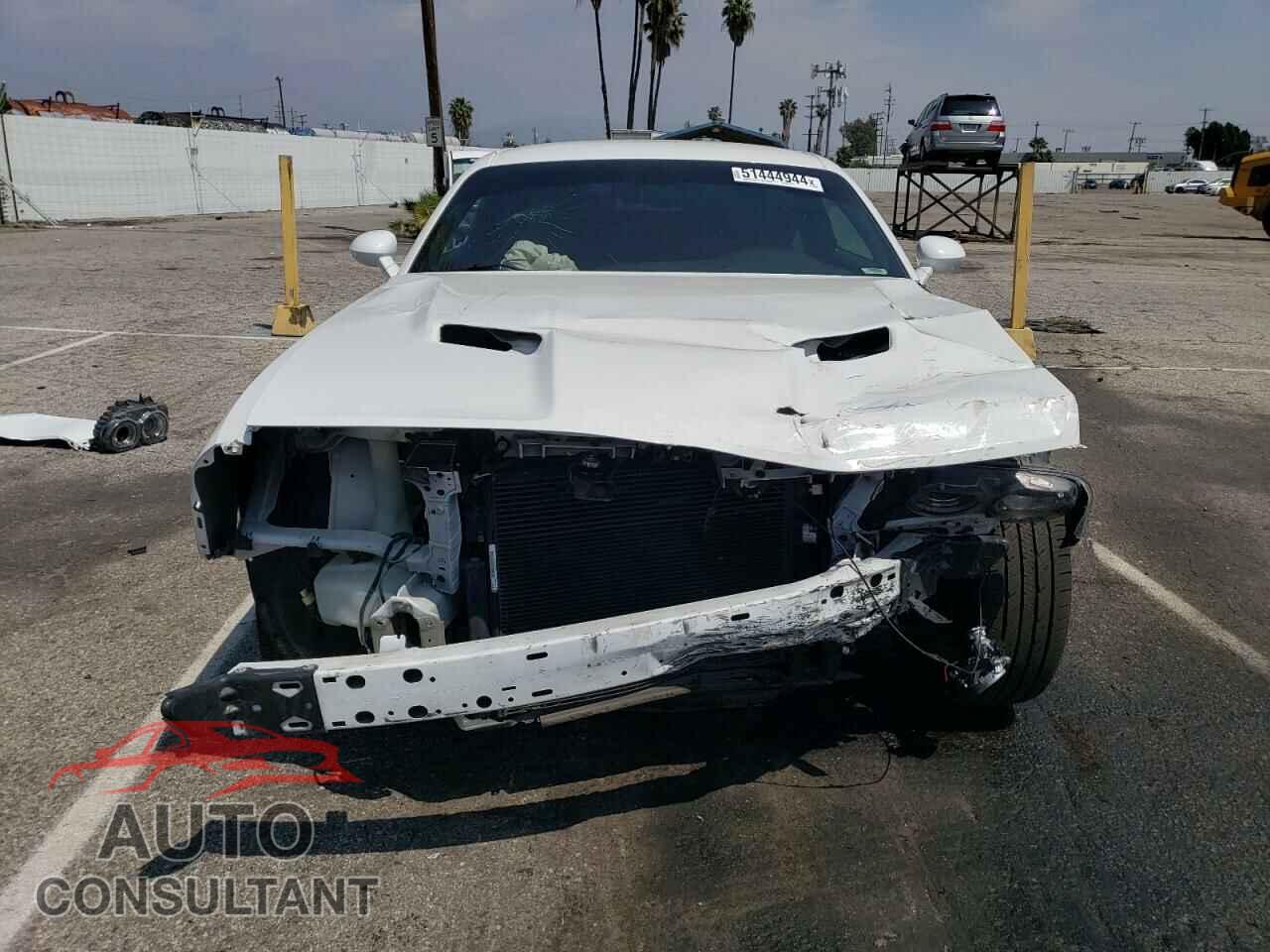 DODGE CHALLENGER 2019 - 2C3CDZAG5KH723699