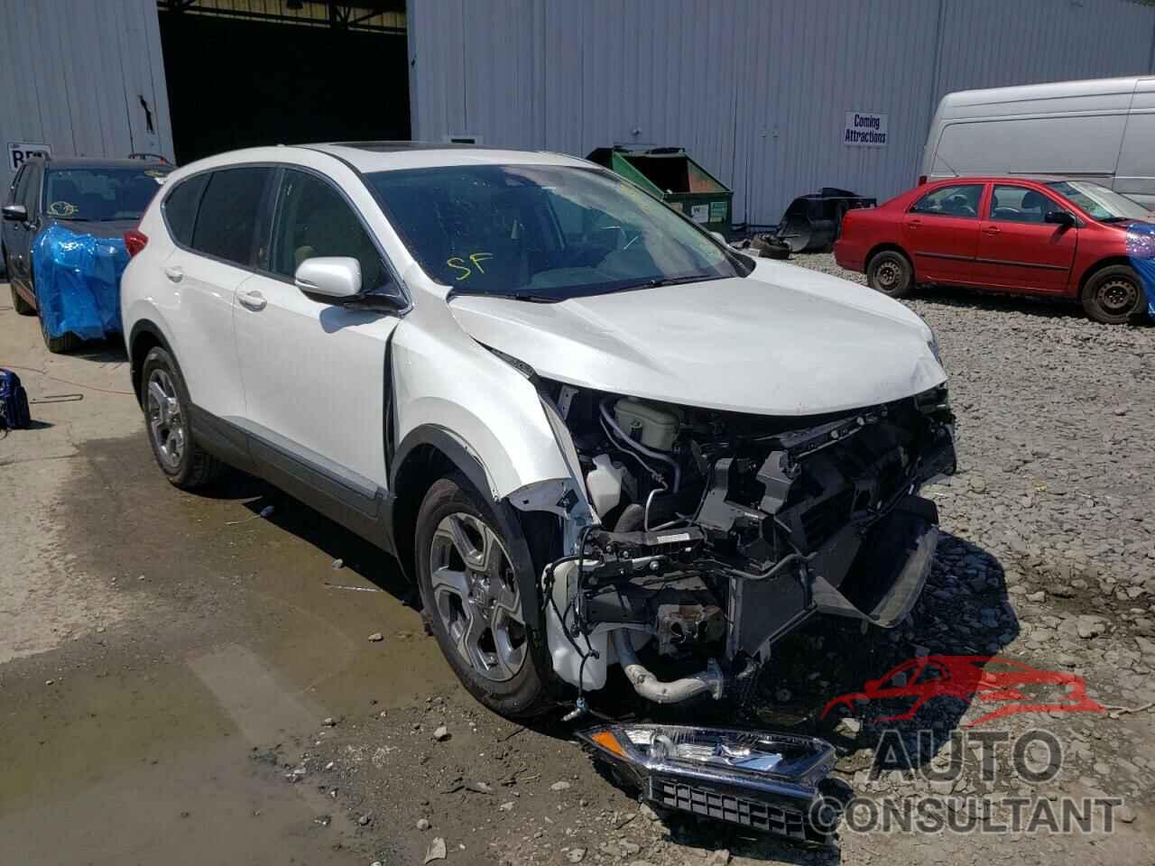HONDA CRV 2019 - 2HKRW2H55KH666052