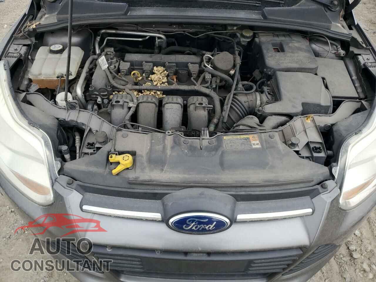 FORD FOCUS 2012 - 1FAHP3E26CL244612