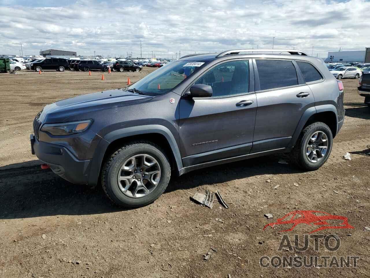 JEEP CHEROKEE 2019 - 1C4PJMBN7KD331052