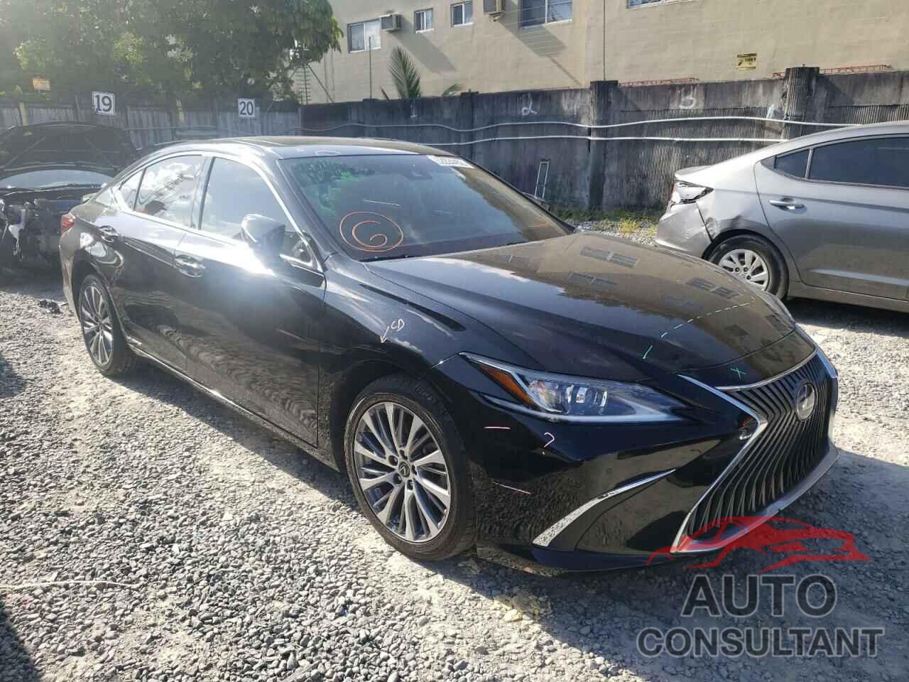 LEXUS ES300 2020 - 58AD21B12LU009274