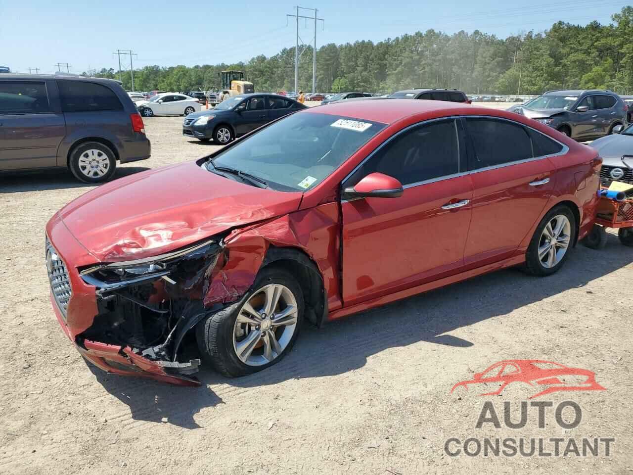 HYUNDAI SONATA 2019 - 5NPE34AF7KH803742