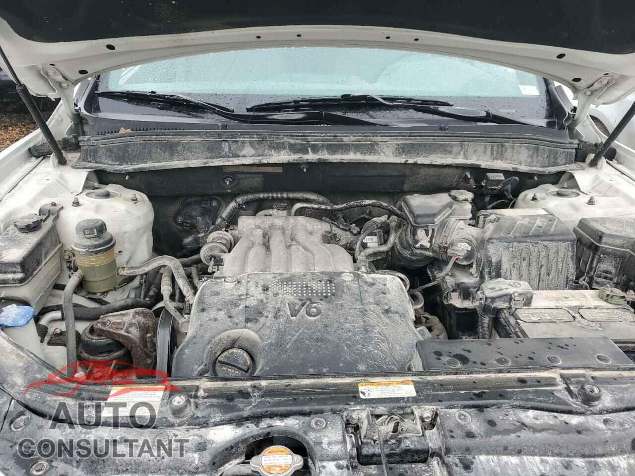 HYUNDAI SANTA FE 2009 - 5NMSG73D29H247884