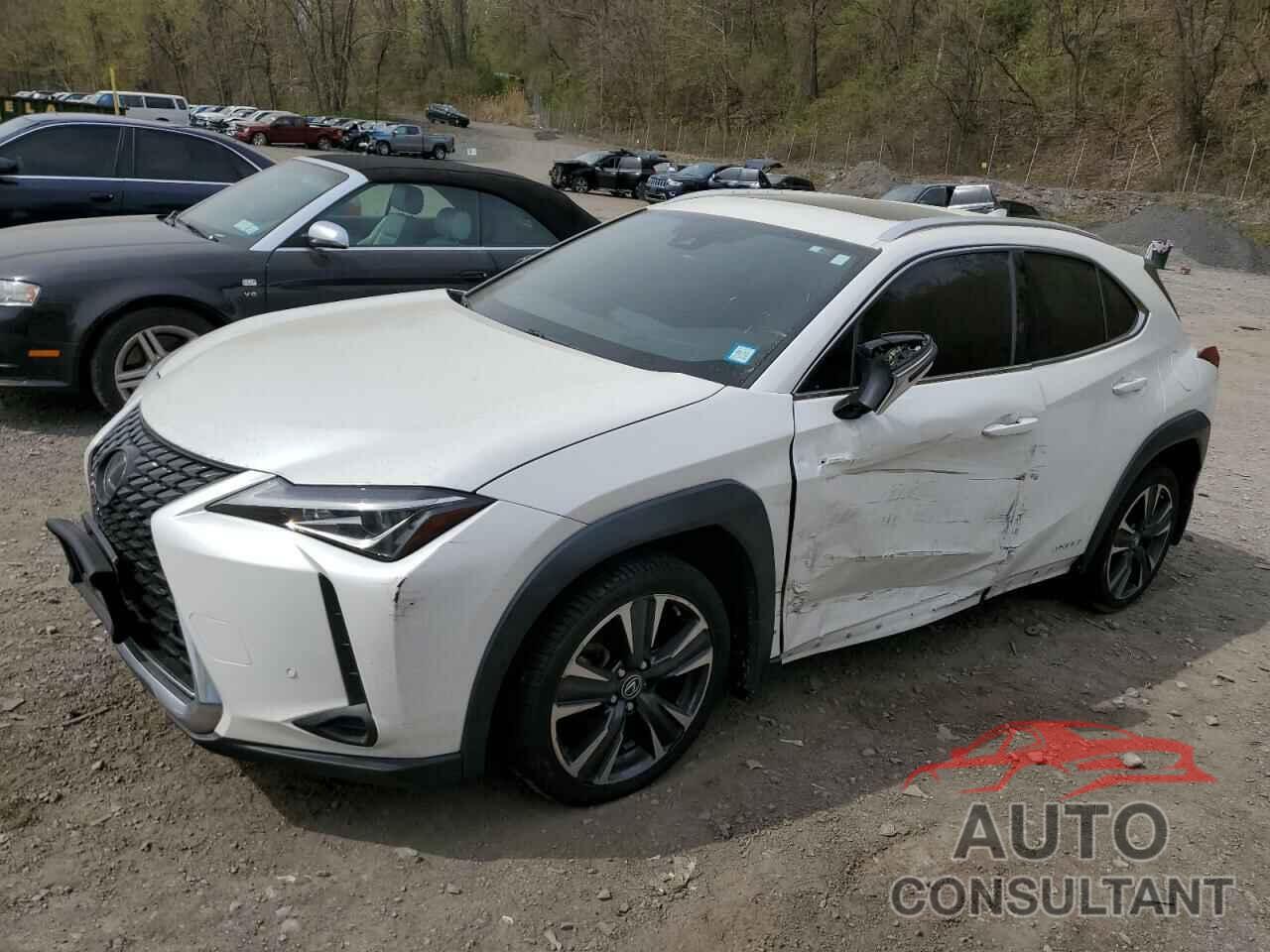 LEXUS UX 250H 2019 - JTHU9JBH8K2015836
