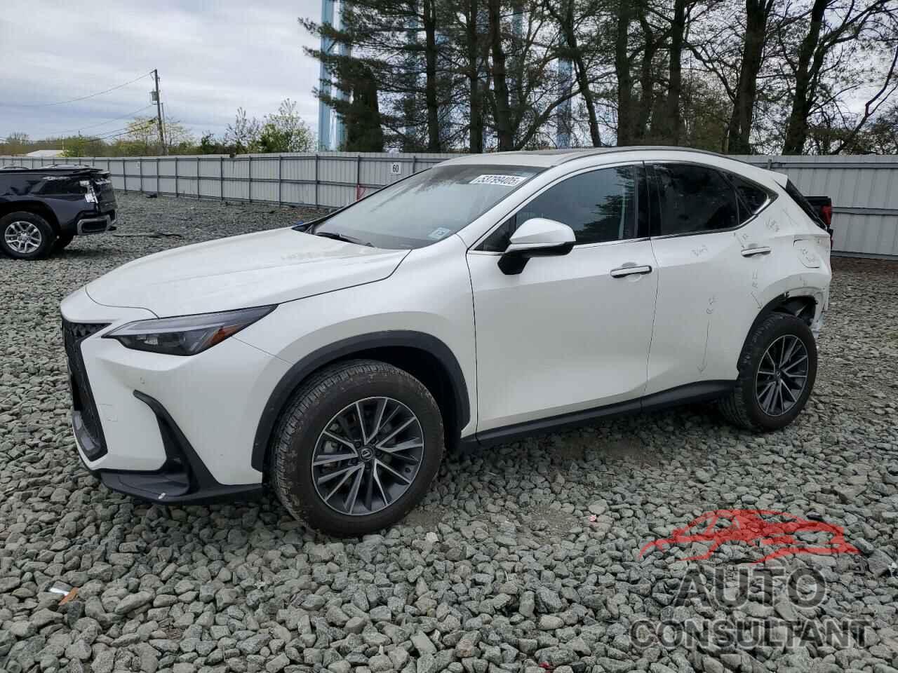 LEXUS NX 350H BA 2024 - JTJGKCEZ2R2036563