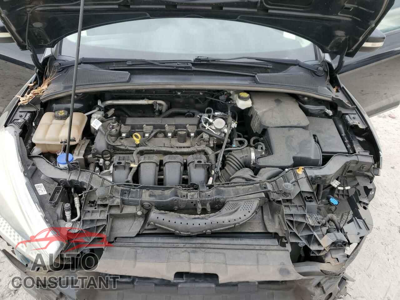 FORD FOCUS 2017 - 1FADP3F22HL291799