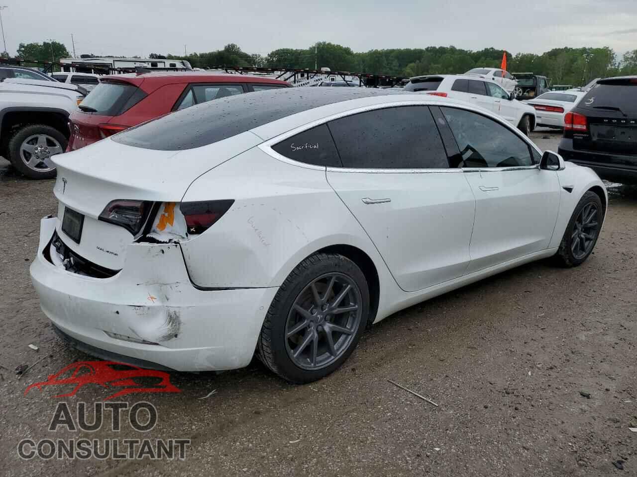 TESLA MODEL 3 2019 - 5YJ3E1EB3KF448204