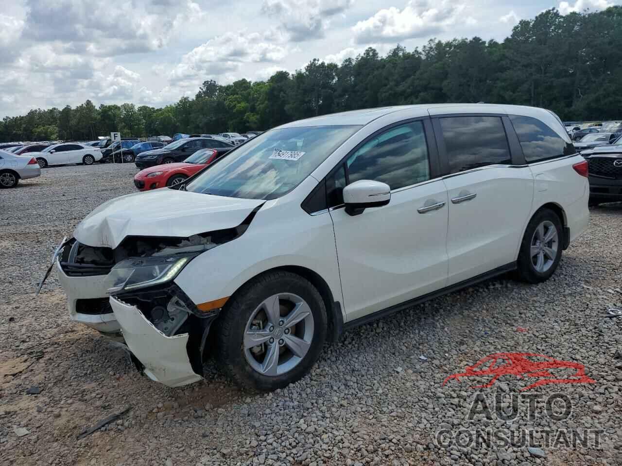 HONDA All Models 2019 - 5FNRL6H75KB003287