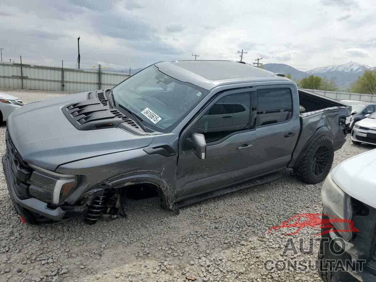 FORD F150 2024 - 1FTFW1RJ8RFB86438