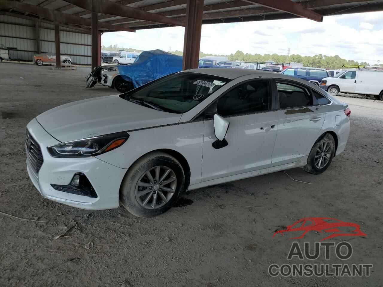 HYUNDAI SONATA 2019 - 5NPE24AF9KH771377