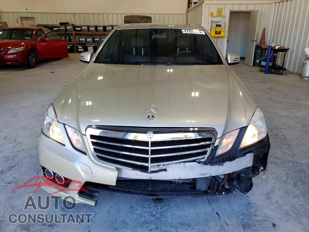 MERCEDES-BENZ E-CLASS 2010 - WDDHF8HBXAA210984