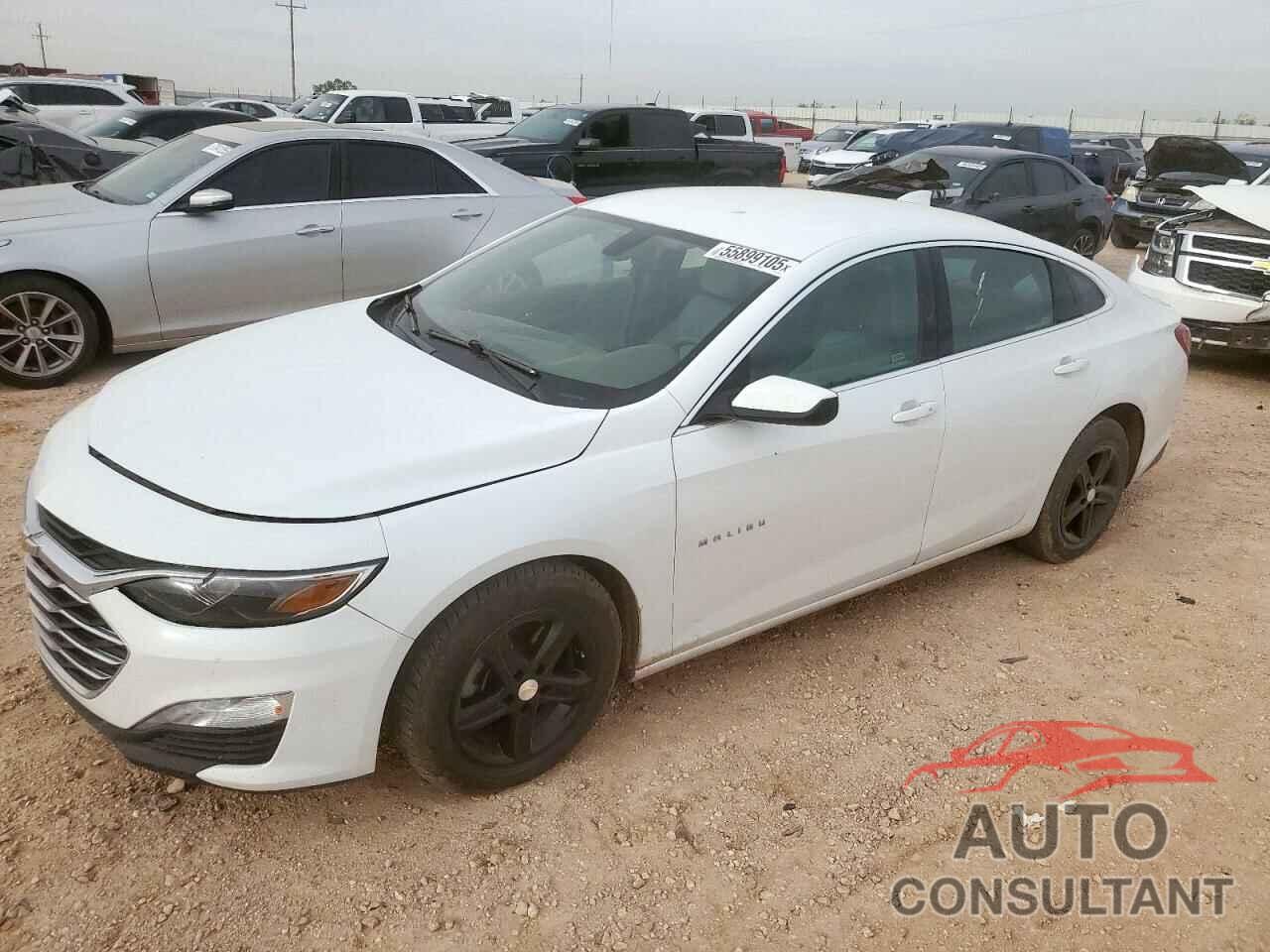 CHEVROLET MALIBU 2022 - 1G1ZD5ST8NF184536