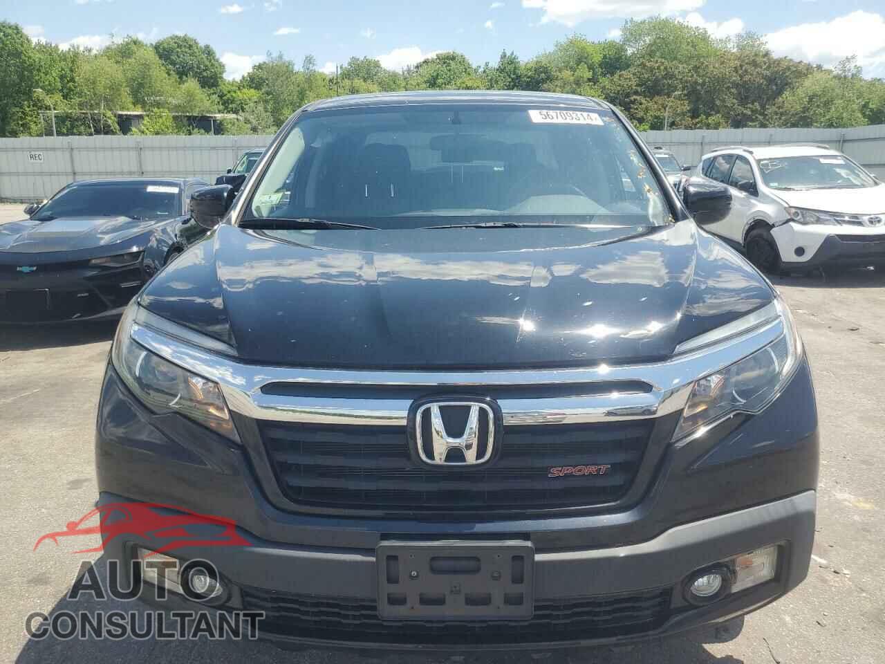 HONDA RIDGELINE 2019 - 5FPYK3F18KB041227