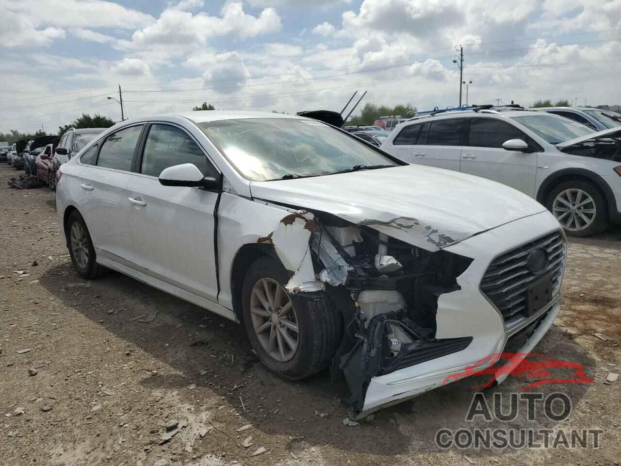 HYUNDAI SONATA 2018 - 5NPE24AF4JH619036