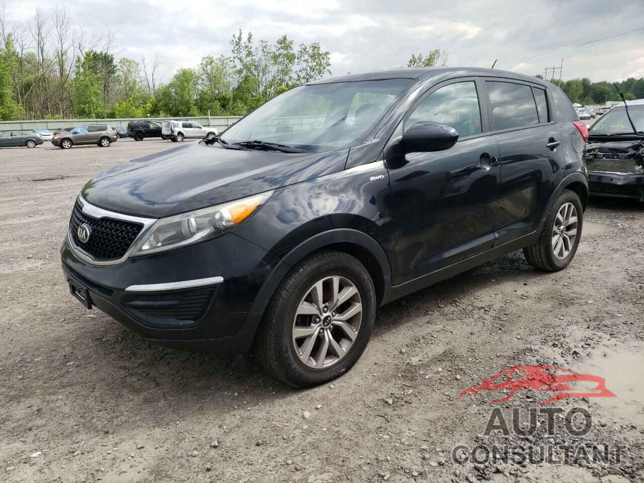 KIA SPORTAGE 2016 - KNDPBCAC1G7848022