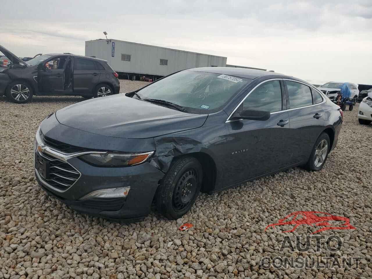 CHEVROLET MALIBU 2019 - 1G1ZB5ST5KF126966