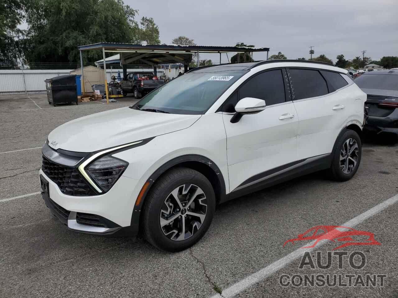KIA SPORTAGE 2024 - KNDPVCDG6R7154970
