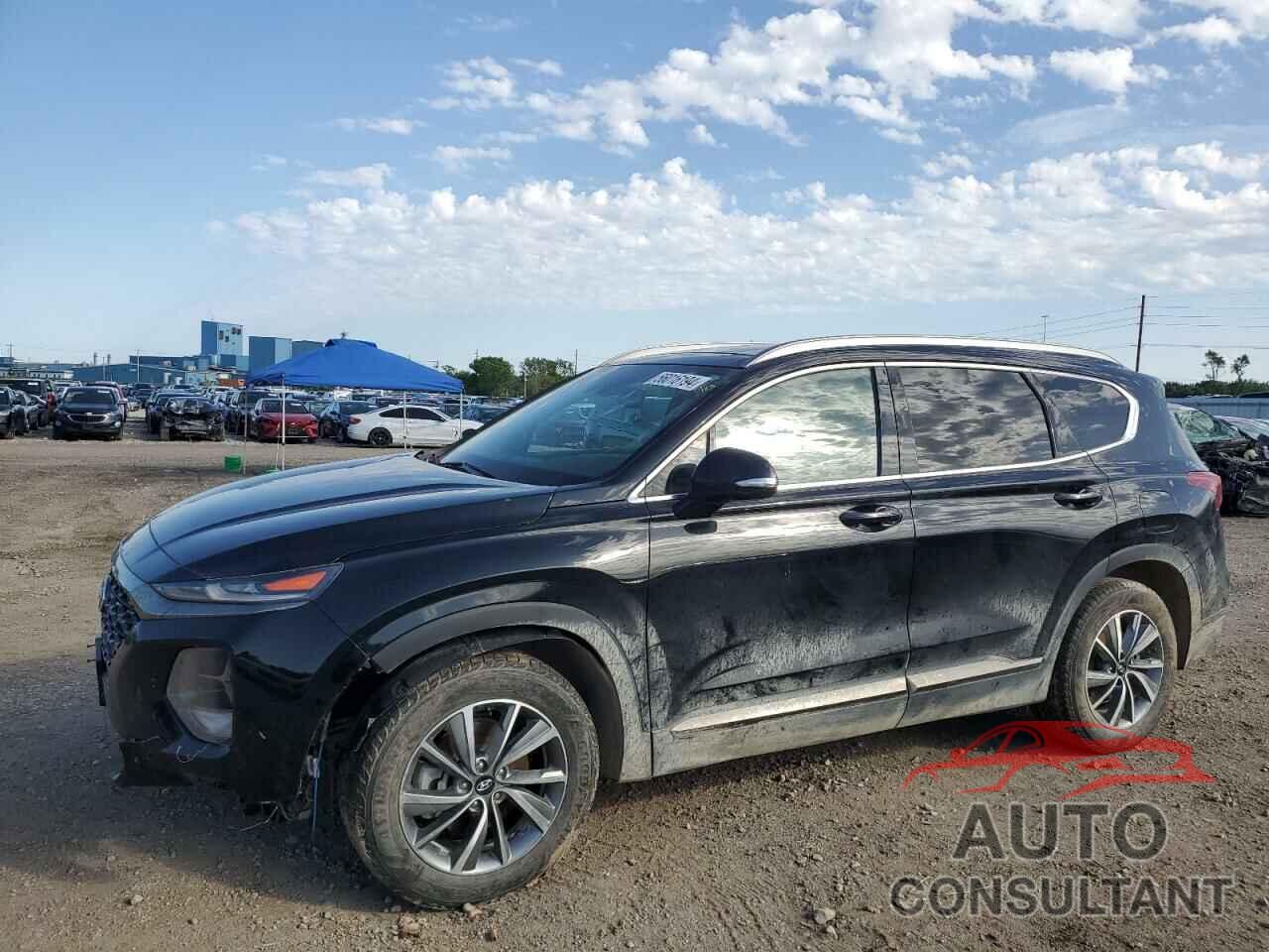 HYUNDAI SANTA FE 2019 - 5NMS5CAD0KH051272