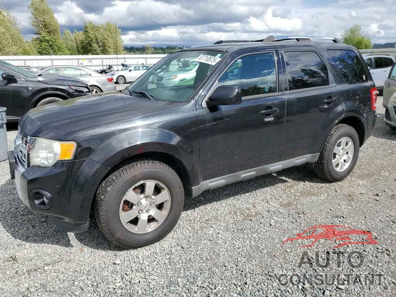 FORD ESCAPE 2011 - 1FMCU9EG2BKC13532