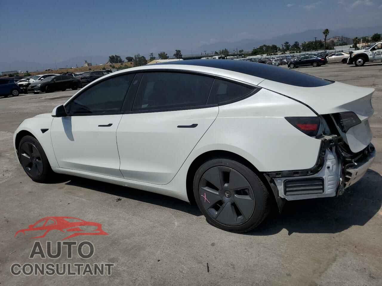 TESLA MODEL 3 2021 - 5YJ3E1EA2MF097442