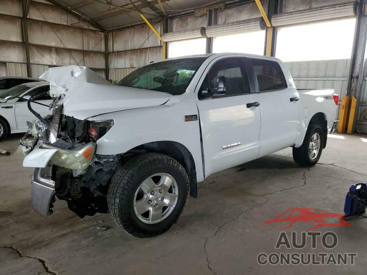 TOYOTA TUNDRA 2010 - 5TFEY5F13AX081869